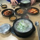 황제 시래기 명태조림 | 분식, 송원칼국수, 함지박소머리국밥, 두남자와어머니청국장, 황제시래기명태조림, 풍년막국수, 가야밀면)