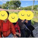 대덕구노인복지센터 | 대덕구주간보호센터 어르신을 위한 최상의 복지시설 체험기