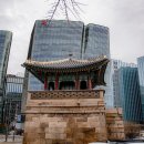손손디자인 이미지