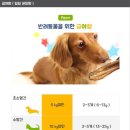 아지&냥이 이미지