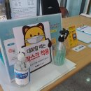 에콜리안정선골프장 이미지