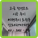 의정부 탄성코트 신도4차 베란다 곰팡이 결로 페인트 제거