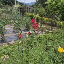 산아래 하우스 이미지