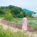 베가팬션