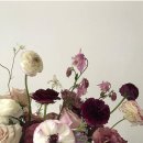 오늘 과일 이미지