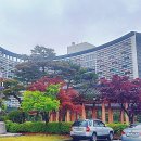 삼오식당 이미지