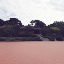 강릉 초당 소나무집 해물짬뽕순두부 그리고 순두부 젤라또