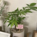 수연민박 이미지