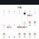 미니펫스토리 이미지