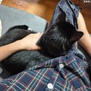 11545-03-26-28 | 2026년 03월 주간일상 4.