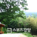 예향의 숲 이미지