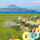 산방산탄산온천게스트하우스