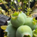 형재농장 이미지