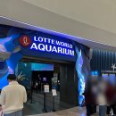 롯데월드아쿠아리움 | 잠실 롯데월드 아쿠아리움 관람 후기