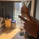 (사)사랑해밥차 | 부산 미즈웰산부인과 제왕절개 6박7일 1인실 입원 가격 장단점