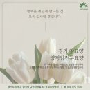[언론보도] 한길요양병원, 암요양입원환우 레이저토닝 및 피부과 서비스 제공
