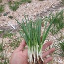 권관농장 이미지