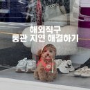 적하 | 개명 후 통관 멈춤 적하정정하는 방법 적하정정사유서