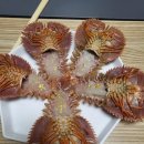 논개수산 이미지