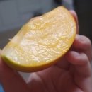 태주농장 이미지