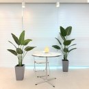 나무와흙한의원 이미지