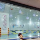 (주)풀런키즈스윔 | 창원 어린이 수영장 추천, 풀런 키즈 스윔 방학특강 후기 (내돈내산)