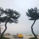 주문진경희한의원 네이버블로그