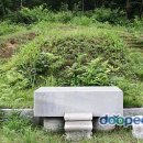 유장 양헌수묘 이미지