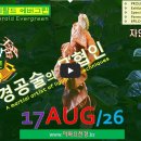 [0817'26] O 경공술의 무협인 이미지