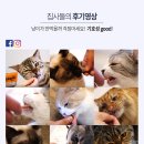 다온협동조합 이미지