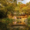 대청공원 공중화장실 이미지