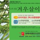명품자연산건강원
