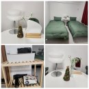 스테이에셀 이미지