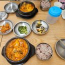 지에스25 수원문화점 | 여자 둘, 고양이와 함께 사는 일상 기록 | 2월 첫째주(2)