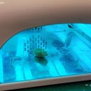 나라보청기 이미지