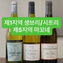 비노떼의 프랑스 부르고뉴 5개지역 와인들! 이미지