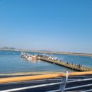 서산 삼길포항 새마을호 후기, 장고항 은실수산 실치회 포장 후기