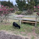 달뜨는목장 이미지