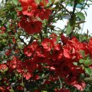 선원2길 이미지