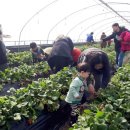 대신주말농장 정보화마을 이미지