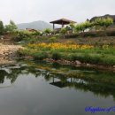 계촌농장 이미지