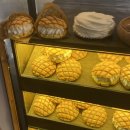 필더빌커피바 - 71376 | 필더빌커피바