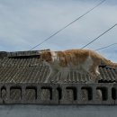(주)테라도스 이미지