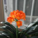 임학역 3번 출구 이미지