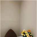 힐링행복요가 이미지