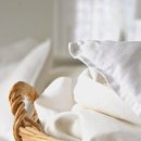 폴리크롬 이미지