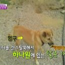 멍구멍구 이미지