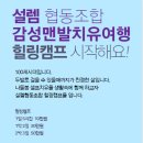 설렘협동조합