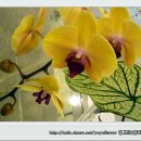 선바위미술관 이미지