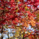우리연세내과 이미지